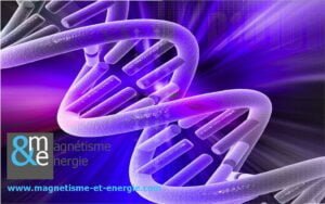 Chaîne ADN